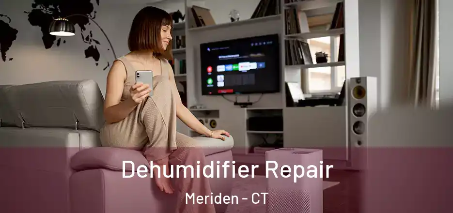 Dehumidifier Repair Meriden - CT