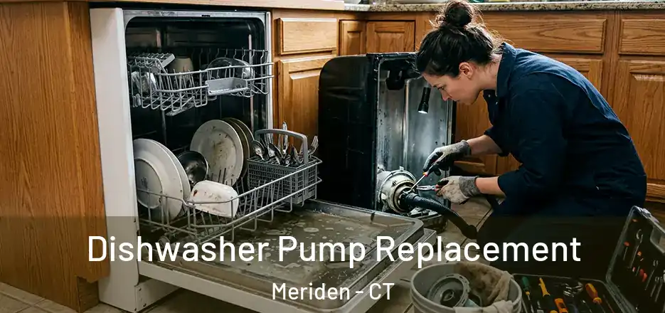  Dishwasher Pump Replacement Meriden - CT