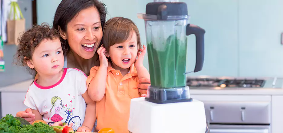 Juicer and Mixer Blender Repair in Meriden