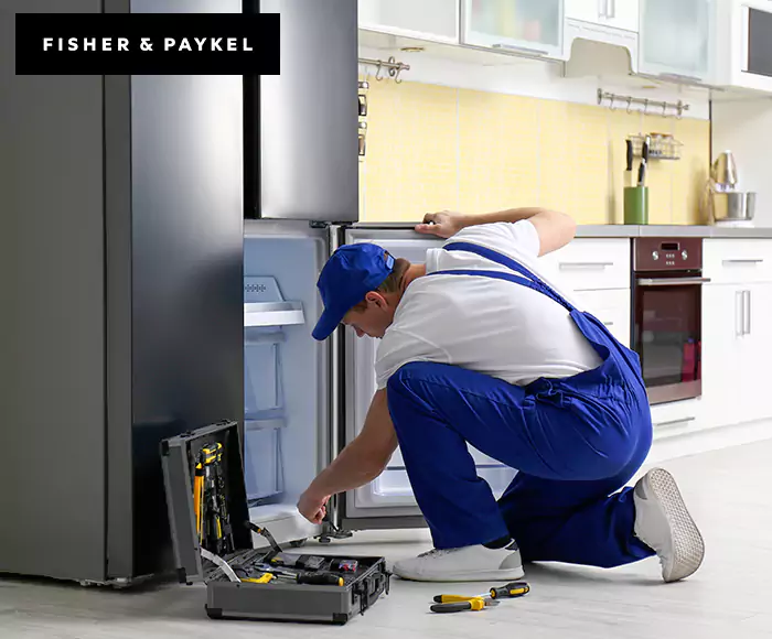 Top-Rated Fisher & Paykel Appliance Experts: Your Brand Specialist in Meriden, CT